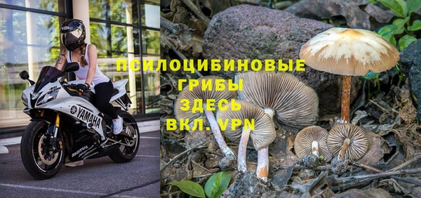 хмурый Балабаново