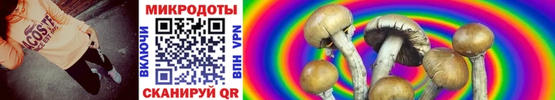 МЕГА ССЫЛКА  дарк нет формула  Новохопёрск  Псилоцибиновые грибы Psilocybe  купить наркотик 